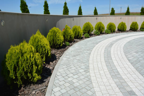 Best Driveway Paving Company  in Sparta, MO